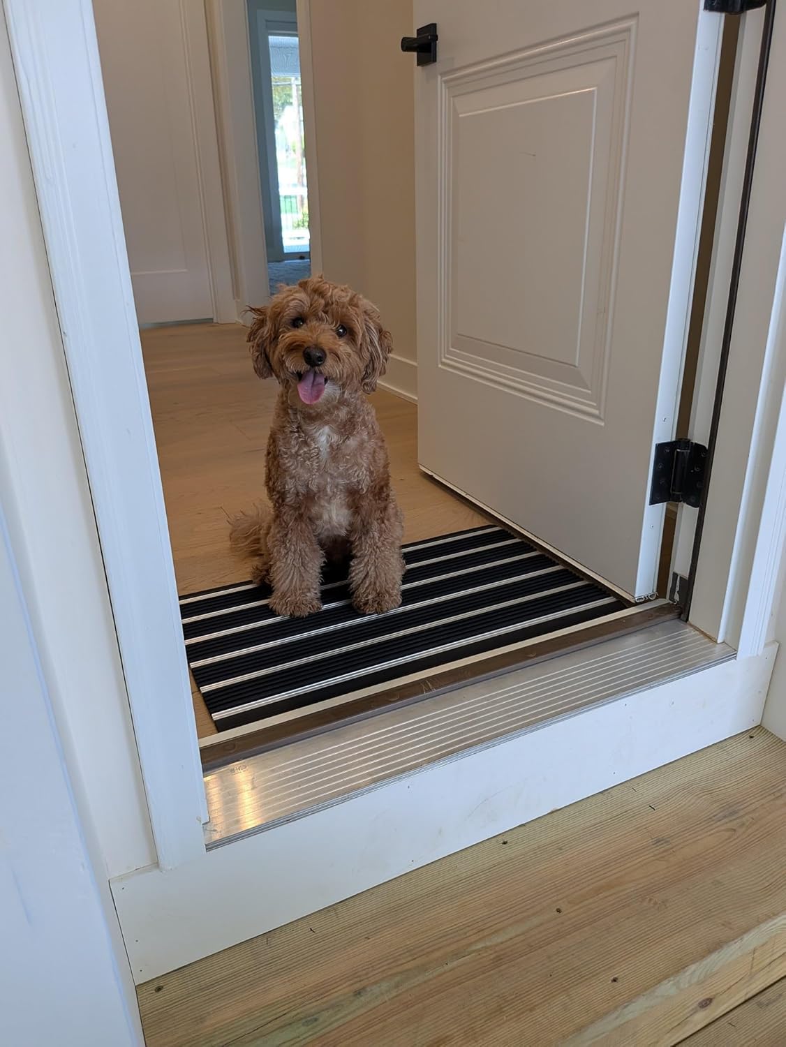 Ecomills Alumat Aluminum Front Door Mat, Heavy-Duty All-Weather Indoor/Outdoor Doormat with Non-Slip Rubber Edge – 17.3" x 27.5"
