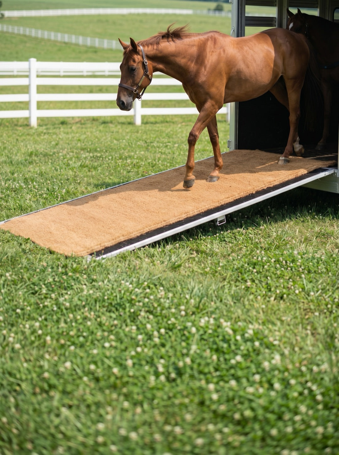 Horse Van Coir Mats